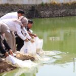 Wali Kota Cirebon, Effendi Edo bersama Wakil Wali Kota Siti Farida dan Sekda Iing Daiman bersama-sama menebar benih ikan dalam upaya penguatan pangan, Kamis, 6 Agustus 2026.*
